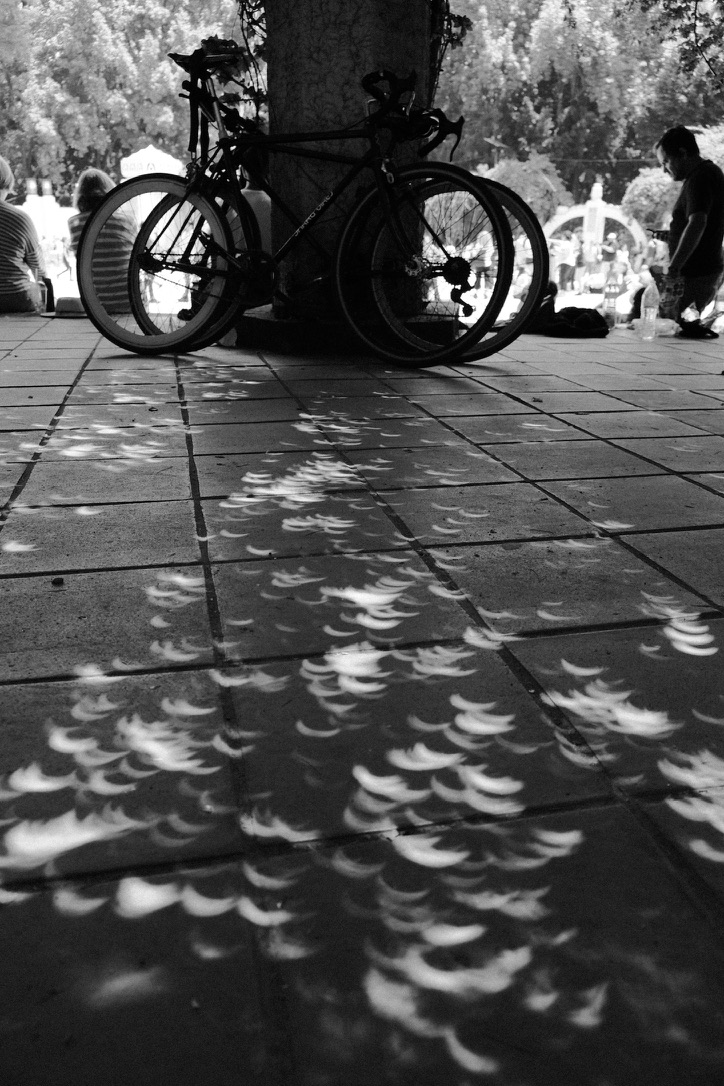 Parque Mexico during an exclipse in Mexico City